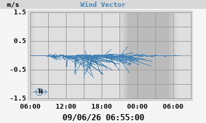 Wind Vector
